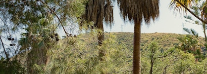 Hotel Alberi Del Paradiso