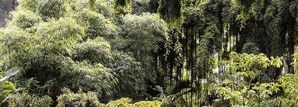 Sensei Lanai, A Four Seasons Resort