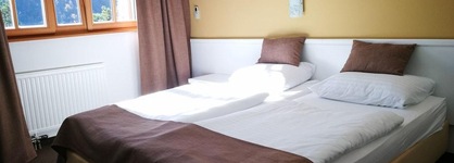 Hotel Ribno