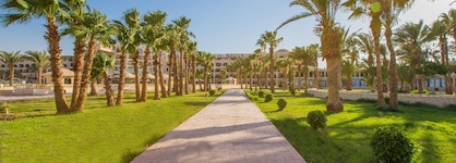 Calimera Blend Paradise