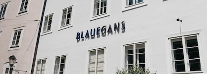 Arthotel Blaue Gans