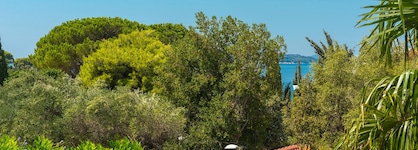 Hotel Komodor