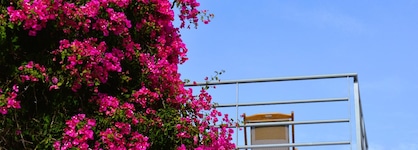 Kykladonisia Traditional Settlement