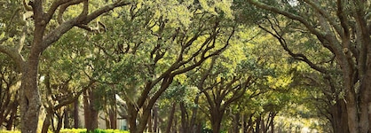The Westin Hilton Head Island Resort & Spa