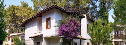 Voyage Sorgun