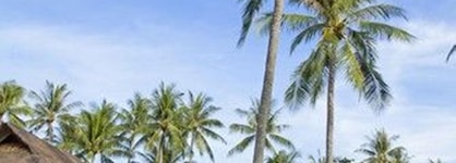 Elixir Koh Yao Yai