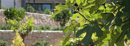 Hotel Serawa Moraira
