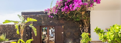 Apartamentos Los Tulipanes