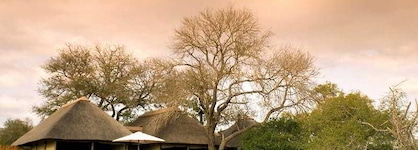 Camp Shonga