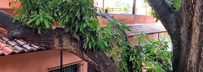 Hotel Doña Elvira