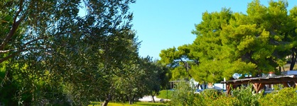 Marpunta Resort
