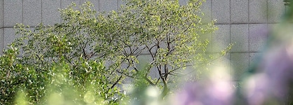 Ln Garden Hotel Guangzhou