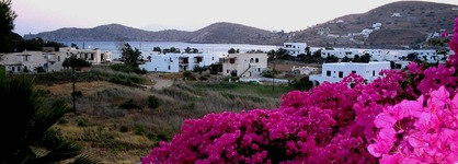 Olga's Pension