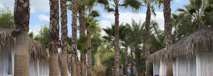 Delphin Deluxe Resort Hotel - All Inclusive