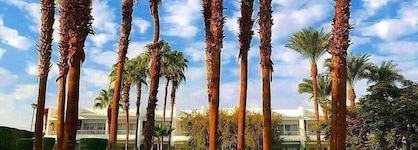 Monte Carlo Sharm Resort & Spa