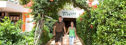 Hotel Palia Tropico Playa