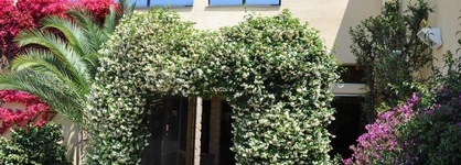 Isola Hôtel