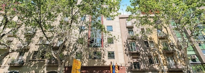 Acacia Suite