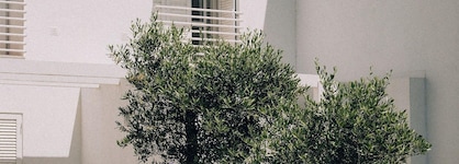 Masana Algarve