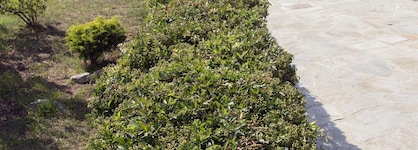 Luzia Agriresort