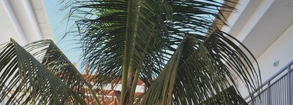 Hotel Da Luz