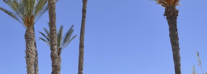 Djerba Sun Beach Hotel And Spa