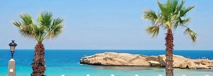 Delphin El Habib