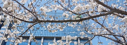 Holiday Inn Shanghai Hongqiao West By Ihg