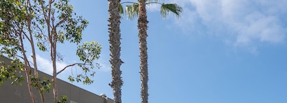 The Dana On Mission Bay Hotel