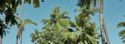 Sheraton Fiji Golf & Beach Resort