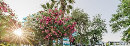 Calypso Beach Hotel