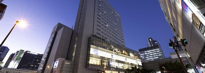 Remm Akihabara