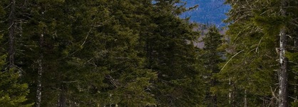 Omni Mount Washington Resort & Spa