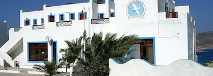 Albatros