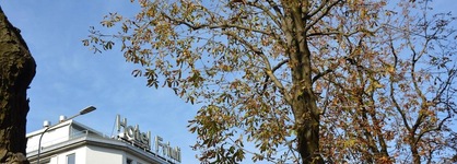 Hotel Friuli