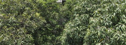 Feung Nakorn Balcony Rooms & Cafe