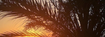 Marathon Beach Resort