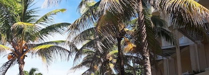 Silver Beach Hotel