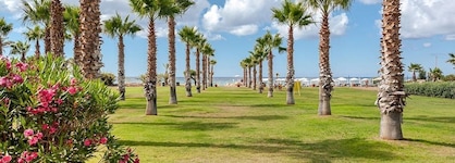 Acacia Resort MClub
