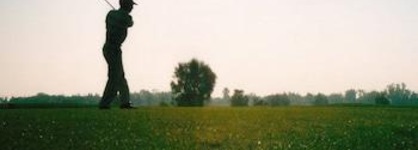Aster