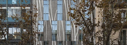 Ako Suite