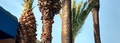 Days Inn By Wyndham Los Angeles Lax Venicebch Marina Delray