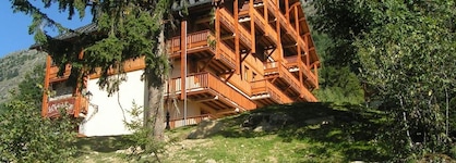 Chalet Des Neiges - Oz En Oisans