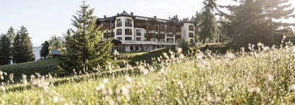 Hotel Steger-Dellai
