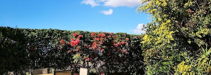 Casa En El Campo Hotel & Spa