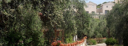 Poggio Degli Ulivi