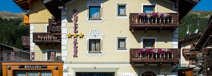 Alba Alpine Hotel