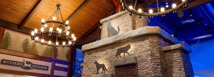 Great Wolf Lodge Illinois