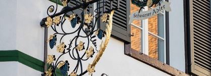 Schwarzer Adler - Concept Living