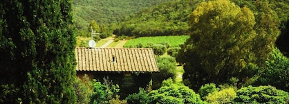 L'andana